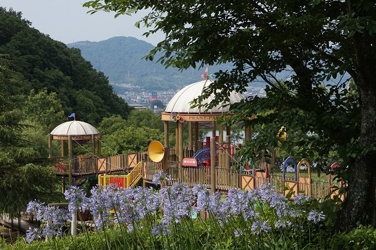 和歌山県植物公園 緑化センター 観察の記