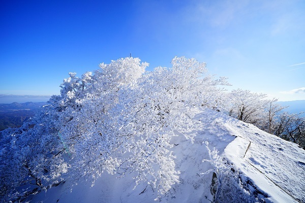 高見山の樹氷 観察の記